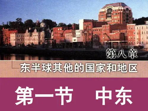 人教版教材《中东》精品系列ppt
