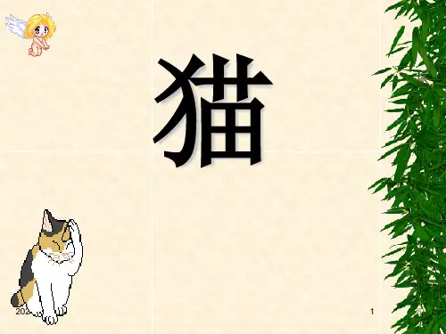 小学四年级上册语文 《猫》PPT优秀课件