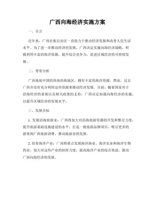 广西向海经济实施方案