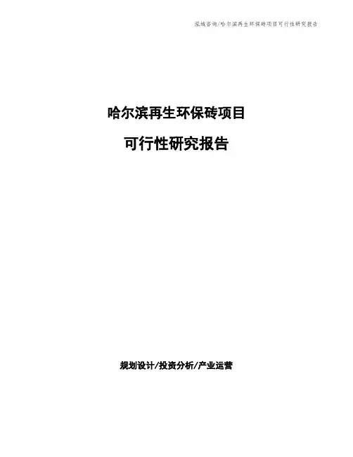 哈尔滨再生环保砖项目可行性研究报告
