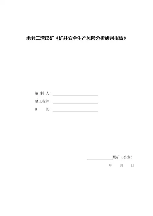 XX矿业安全生产风险分析研判报告(30页)
