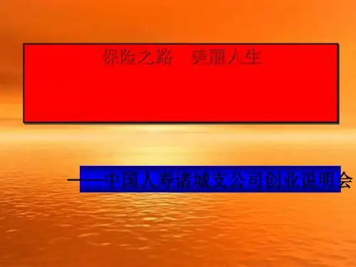 中国人寿公司创业说明会(ppt 74页)