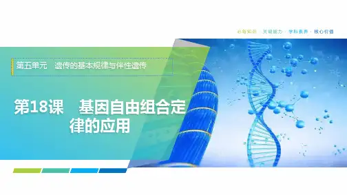 2025年高考生物一轮复习课件20第五单元第18课基因自由组合定律的应用