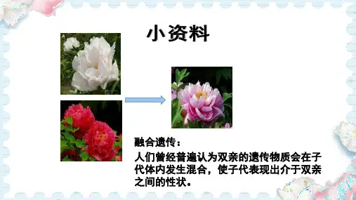 1.1孟德尔的豌豆杂交实验(一)第1课时课件-2023-2024学年高一下学期生物人教版必修2