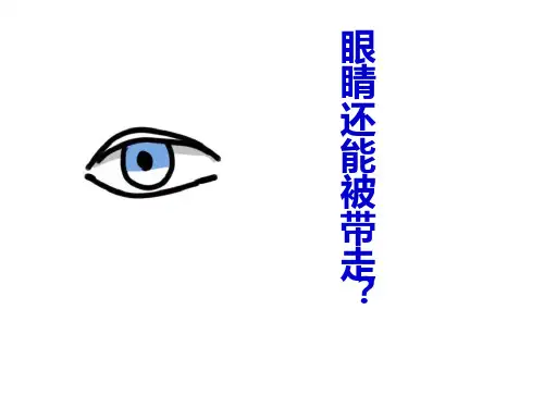 带上她的眼睛(优秀)ppt课件