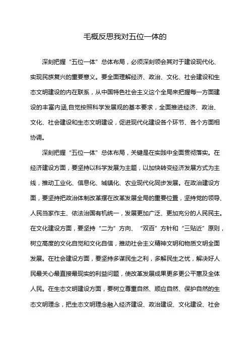 毛概反思我对五位一体的