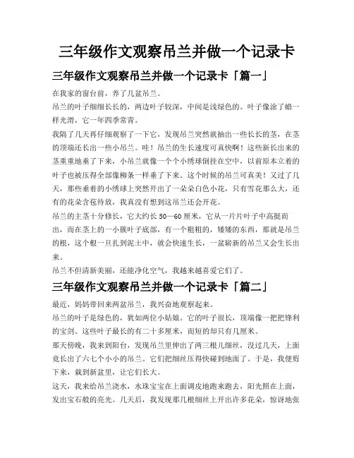 三年级作文观察吊兰并做一个记录卡