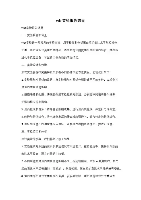 wb实验报告结果