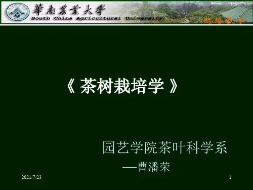 精品课程《茶树栽培学》ppt课件第六章 现代高标准新茶园的建立