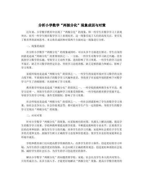 分析小学数学“两极分化”现象成因与对策