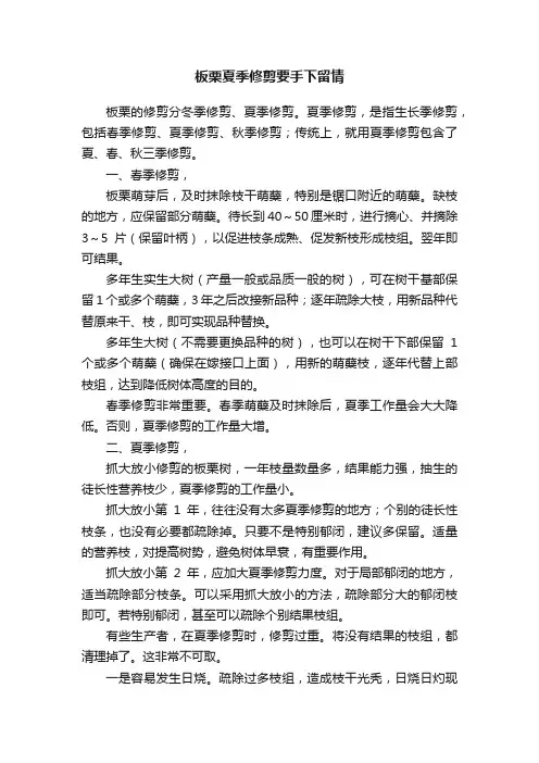 板栗夏季修剪要手下留情
