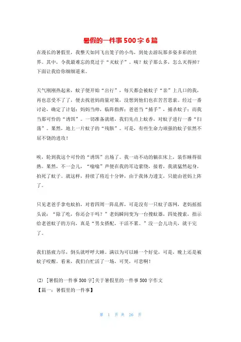 暑假的一件事500字6篇
