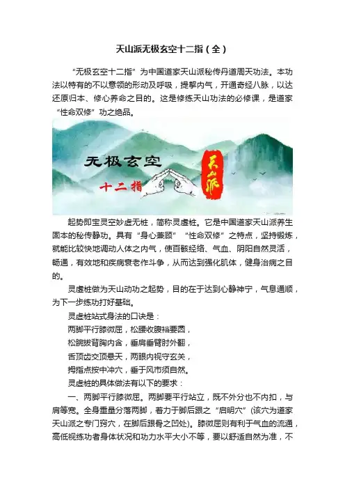 天山派无极玄空十二指（全）
