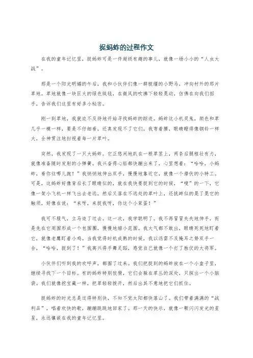 捉蚂蚱的过程作文