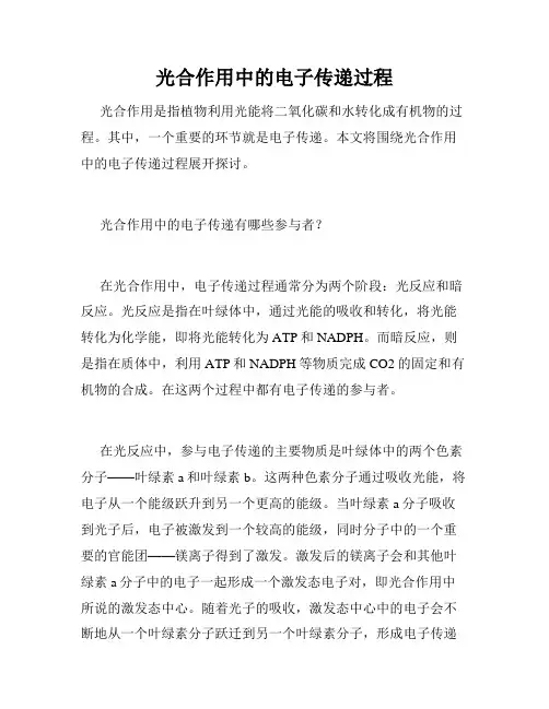 光合作用中的电子传递过程
