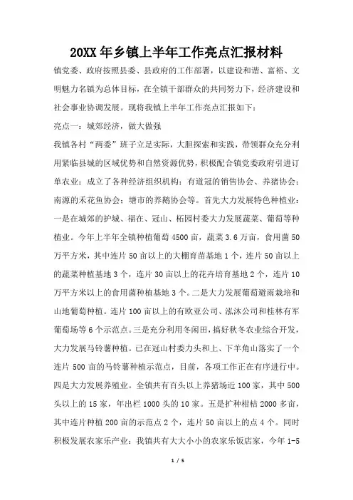 2019年乡镇上半年工作亮点汇报材料