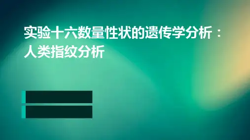 实验十六数量性状的遗传学分析：人类指纹分析