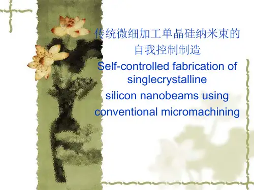 微纳加工技术解析
