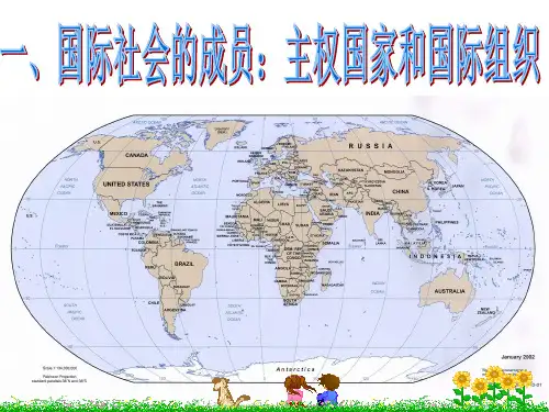 国际社会的主要成员：主权国家和国际组织32343588