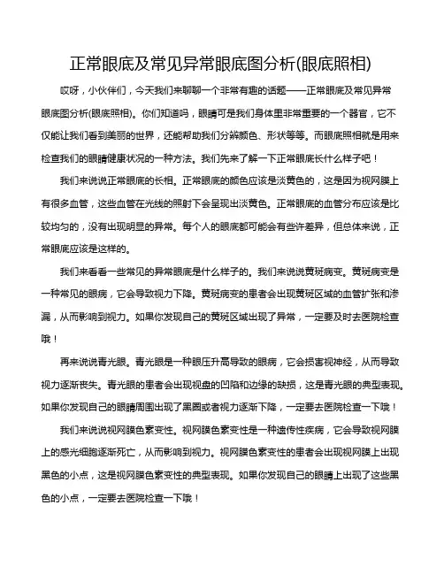 正常眼底及常见异常眼底图分析(眼底照相)