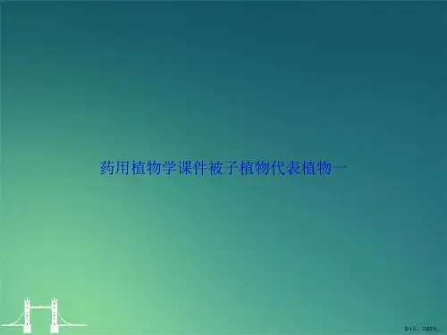 药用植物学被子植物代表植物一2讲课文档
