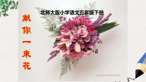 北师大版小学五年级语文下册《献你一束花》PPT精品ppt课件