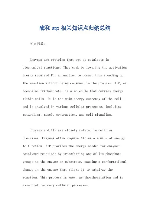 酶和atp相关知识点归纳总结