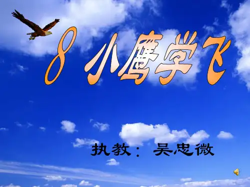 《小鹰学飞》优质课PPT课件 公开课获奖课件