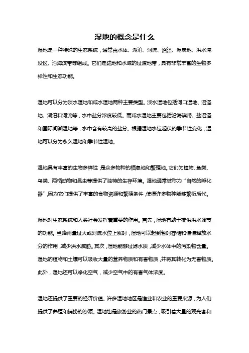 湿地的概念是什么
