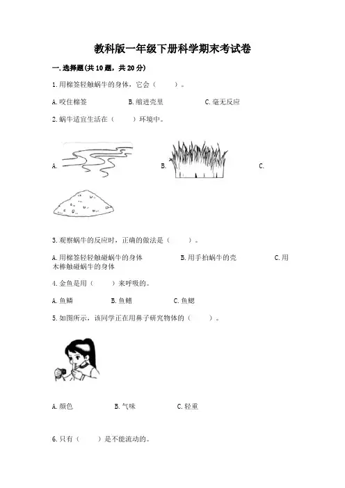 教科版一年级下册科学期末考试卷精品附答案