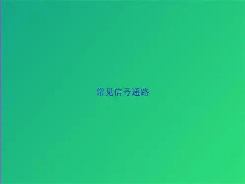常见信号通路(共92张PPT)