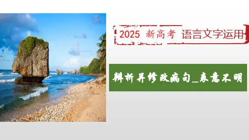 2025届高考语文复习：辨析并修改病句之表意不明+课件