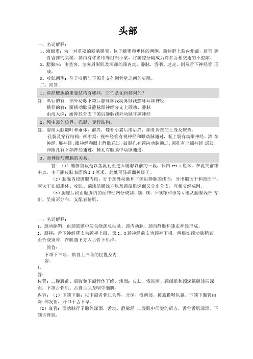 局部解剖总结