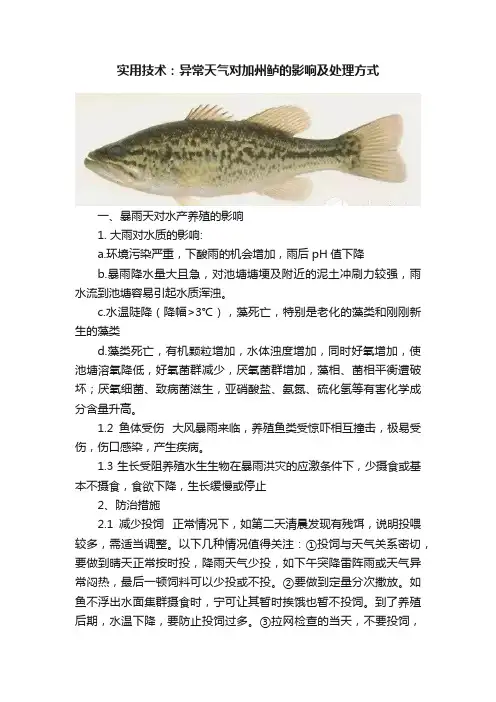 实用技术：异常天气对加州鲈的影响及处理方式
