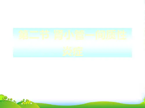 肾盂肾炎-医学课件