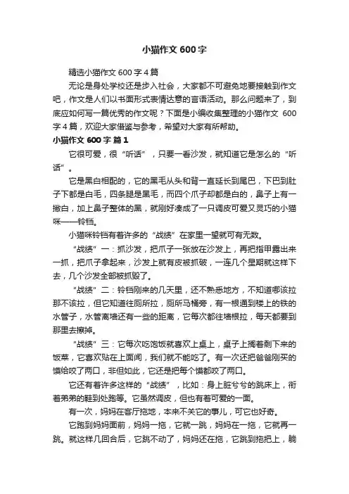 精选小猫作文600字4篇
