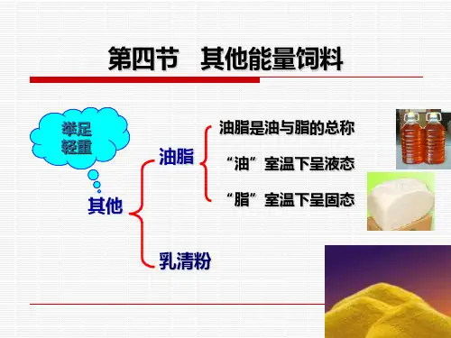 能量饲料(4)课件(共20张PPT)《畜禽营养与饲料》(高教版第二版)