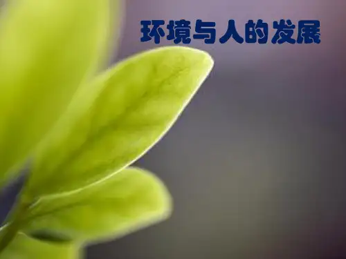 教育学-环境与人的发展