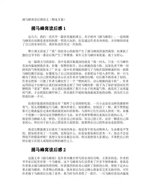 捅马蜂窝读后感