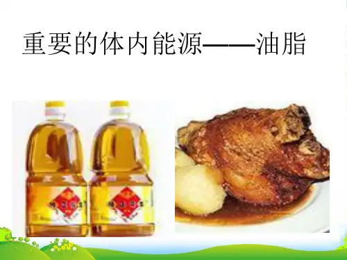 人教版高中化学选修一第一章第二节 重要的体内能源 —— 油脂 课件(共21张PPT)
