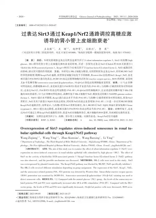 过表达Sirt3通过Keap1