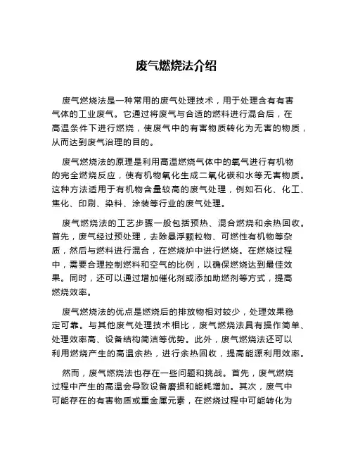 废气燃烧法介绍