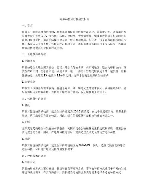 钩藤种植可行性研究报告
