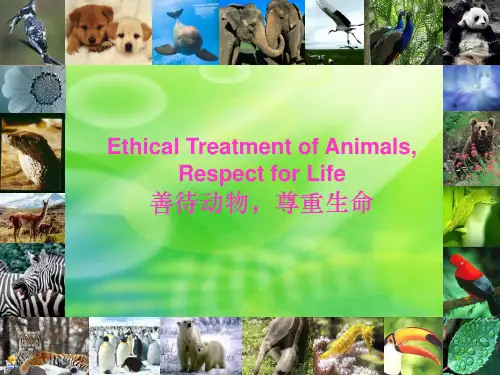 保护动物英语演讲PPT课件