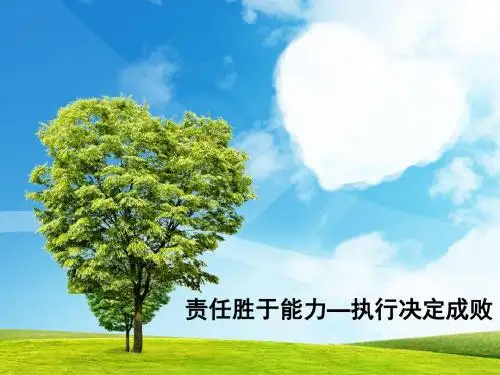 左手责任心右手执行力