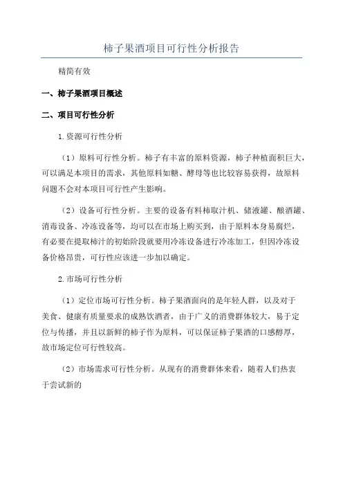 柿子果酒项目可行性分析报告