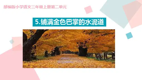 《铺满金色巴掌的水泥道》语文教学PPT课件(3篇)
