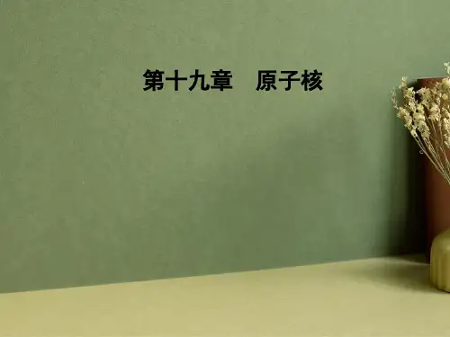 重核的裂变PPT课件