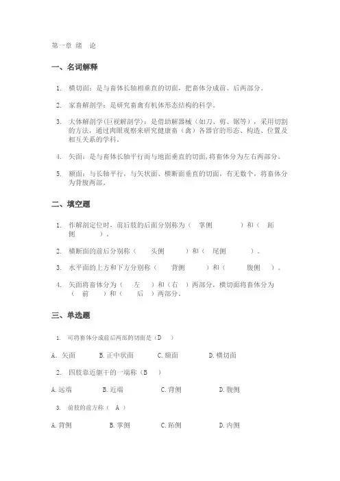 2013动物解刨学