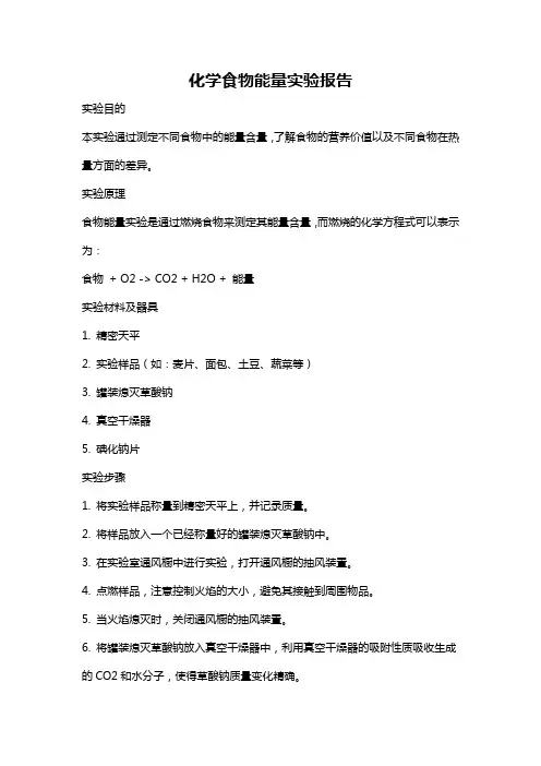 化学食物能量实验报告